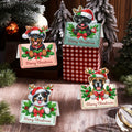 🎁 Gift-Box Puppies